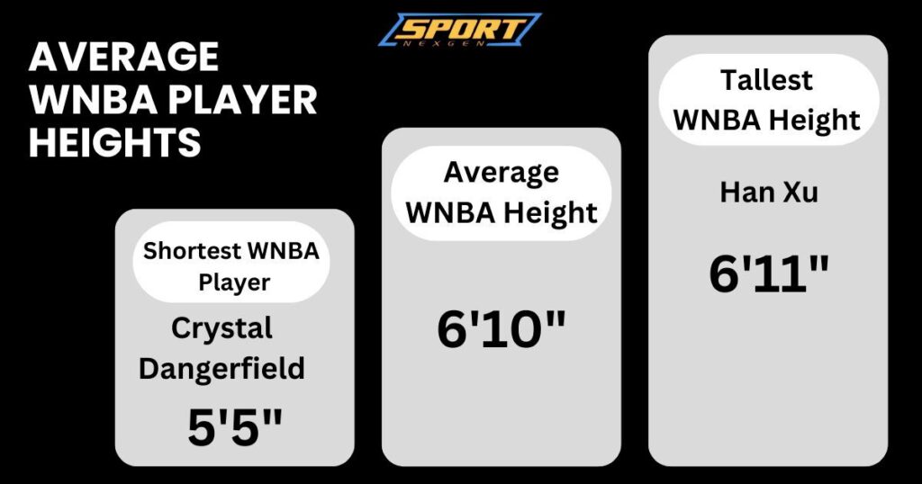 Average WNBA Height in 2024: Tallest, Shortest, and Team Breakdowns