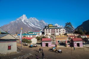 Comparing Two Iconic Himalayan Treks: Annapurna vs. Everest Base Camp