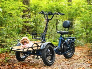 Ride Together: Exploring Addmotor Spytan Electric Trike for Pet Owners       