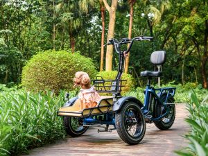 Ride Together: Exploring Addmotor Spytan Electric Trike for Pet Owners       