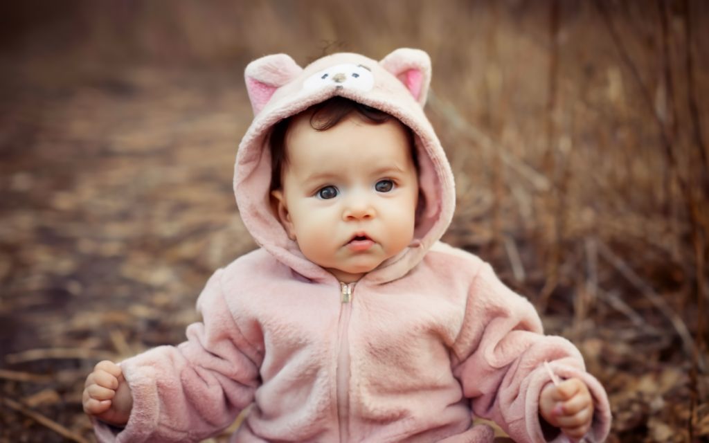 Thesparkshop.in:Product/bear-design-long-sleeve-baby-jumpsuit